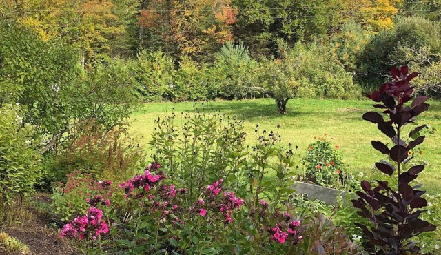 Bright, Spacious Family Getaway with Lake Access