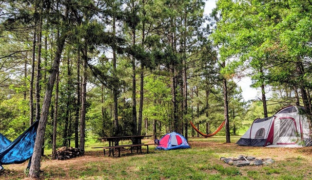 Brookside Tent Site #6 Ouachita Campground at Edendell