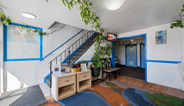 Budget Motel