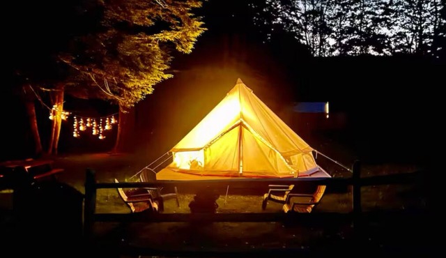 Butternut Hollow tent site