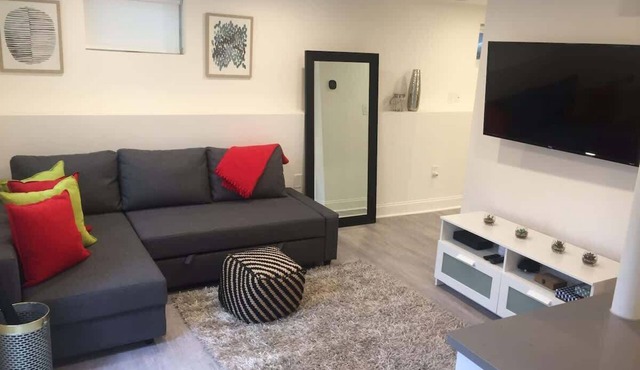 Cambridge renovated 1BR, near Porter/Harvard Sq.