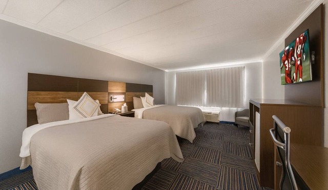 Cape Cod Charm on a Budget – 2 Pet-friendly Rooms Near Beach, Ferry & Dining