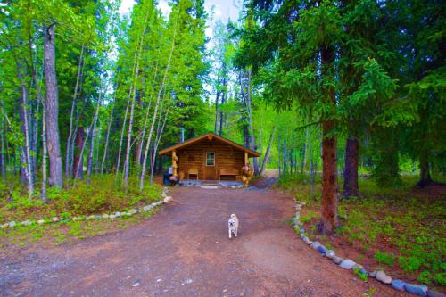 Carlo Creek Cabins