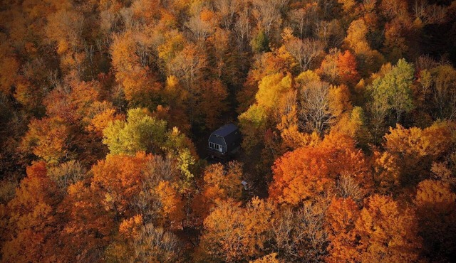 Chalet Mount Snow/Stratton Skiing/hiking
