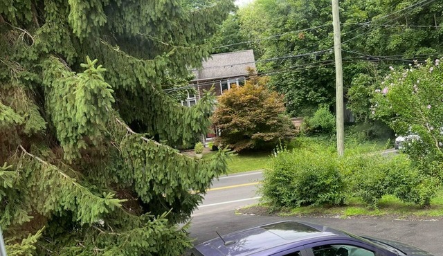 Charming 1-bedroom apt in house walking distance to the beach and restaurants