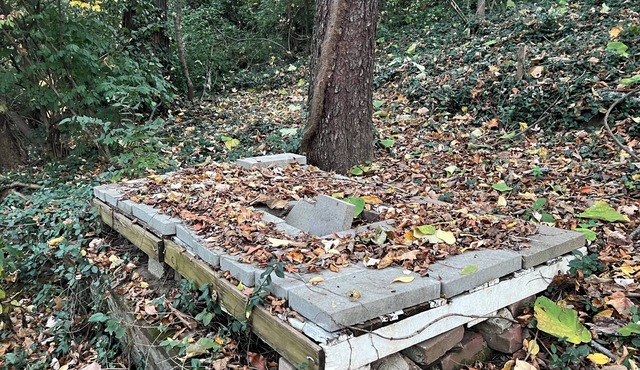 Charming 3-bedroom condo with WiFi and AC in lovely Louisville