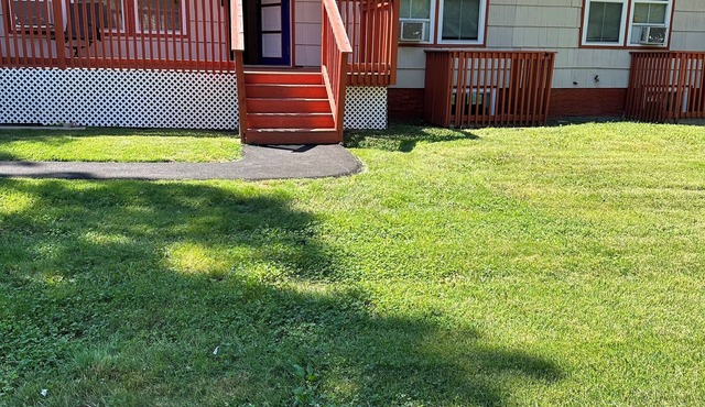 Charming 3-bedroom house with AC and WiFi in Shirley close to the Hamptons!