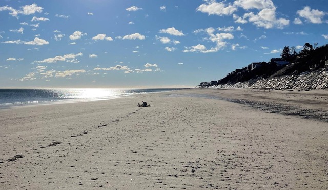Charming Cabin 500 feet to beach