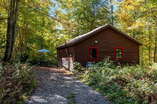 Charming Cabin in the Trees for a Getaway near Hanover, New Hampshire