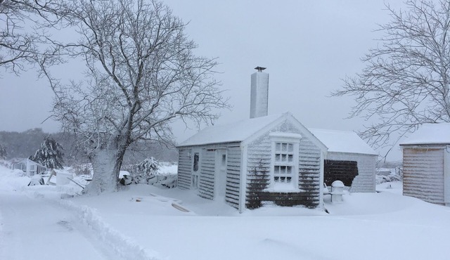 Charming cottage on goat farm in picturesque Westport