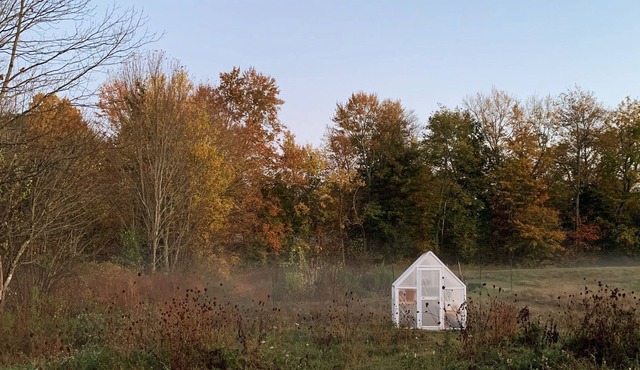 Charming Countryside Apt on Farm w/ Pastoral View