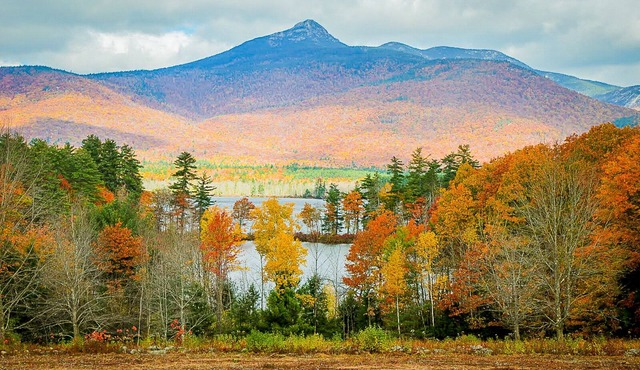 Chocorua Lake * Private Swimming Area * Dog Friendly * Hot Tub