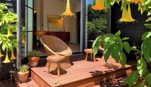 Classic Bright Modern Spacious 1bd/1ba Apartment