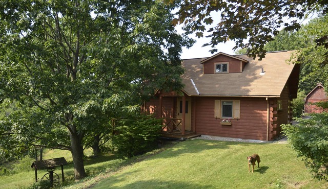 Clean, Fox Chapel Area, 20 Minutes from Downtown Pittsburgh