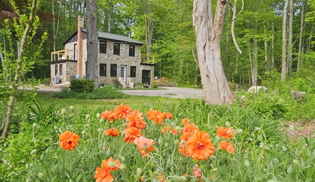 Clinton's Hidden Secret Renovated 2BR Stonehouse, WiFi, AC, Beach Pass & more