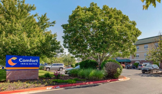 Comfort Inn & Suites Fayetteville-University Area