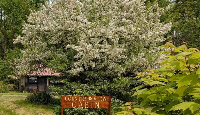 Country View Cabin: Wi-Fi, U-Driveway. Mins to lake/trails.
