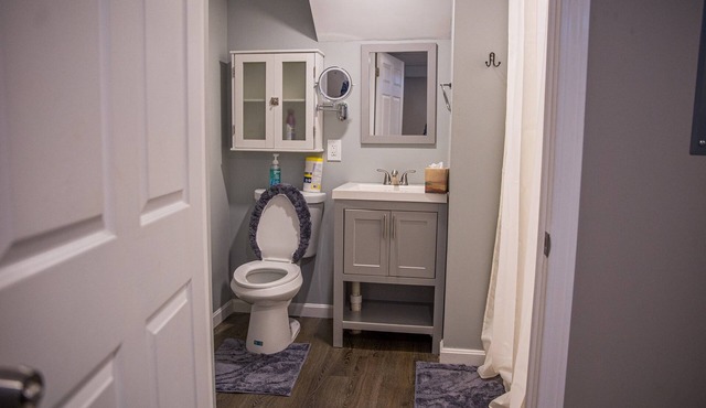 Cozy 1-bedroom apartment in lovely Gorham