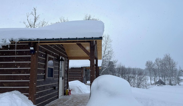 Cozy 1-bedroom cabin in tranquil Eden, northern Vermont