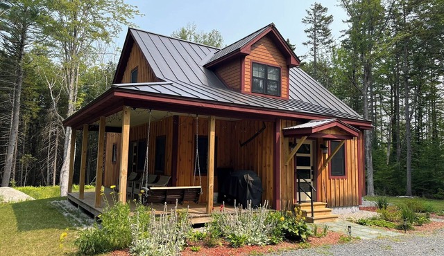 Cozy cabin nestled in the woods, 5 minutes to Sunapee Mountain & lake!