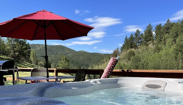 Cozy cabin. Quiet valley. Hot tub & views. Close to everything CO has to offer.