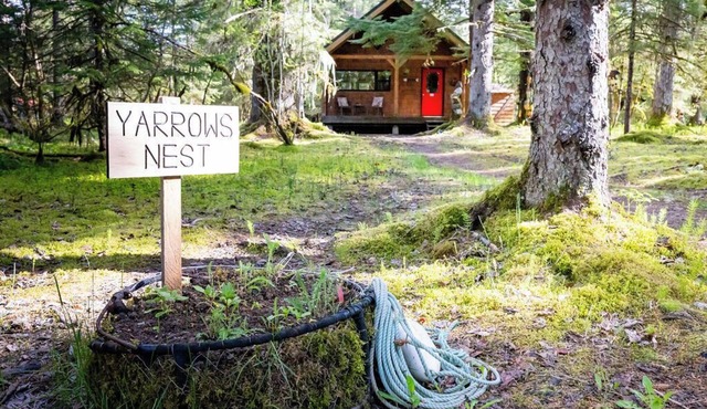 Cozy cabin w/WiFi amongst the spruce trees adjacent to Glacier Bay Nat'l Park.
