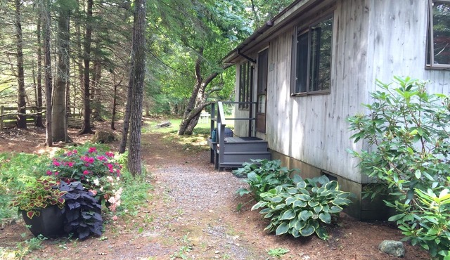 Cozy cottage in woods, 5-min walk to ocean & town of SWH