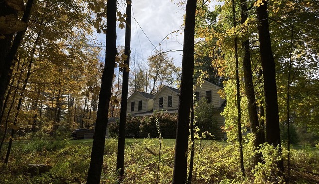 Cozy escape in the trees of the Berkshires
