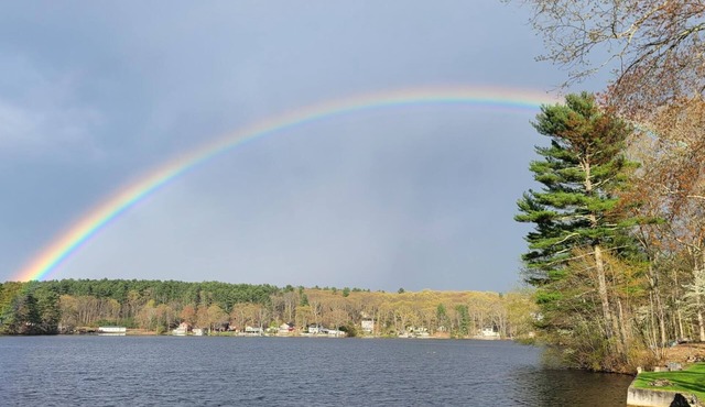 Cozy lake cottage. Bring your boat. New dock at cottage.