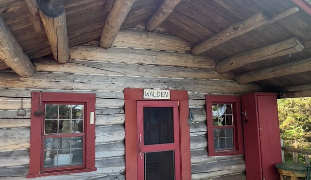 Cozy Lakeside Cabin – Your Private Island Retreat