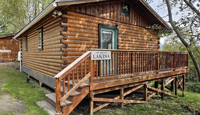 Cozy Log Cabin Close to Wrangell St. Elias National Park and Preserve in McCarthy, Alaska