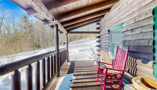 Cozy log cabin close to recreation, dog-friendly, balcony, BBQ, w/d, TVs, kayaks