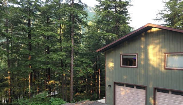 Cozy studio on the edge of the Tongass National Forest