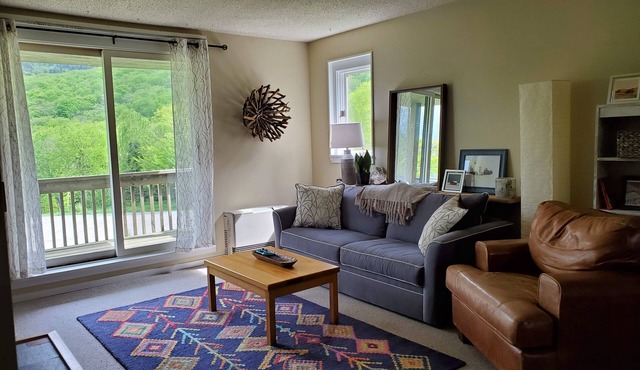 Cozy three bedroom condo at a charming family ski resort