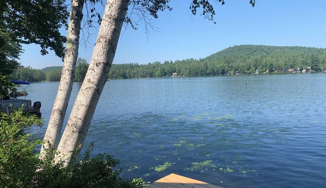 Cozy Waterfront 2-bedroom Cottage on Perkins Pond, Sunapee, NH
