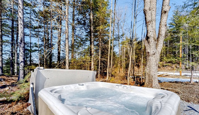 Custom Mountain Home with Private Hot Tub, Firepit, & Free WiFi - Dog Welcome