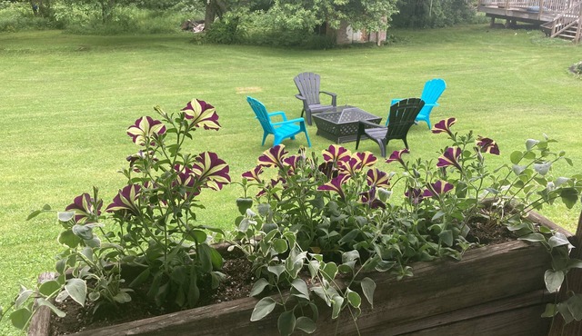 D & D's Place - All Season Beauty Quiet or Adventure, it's Here!