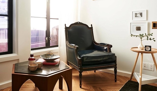 DC Arts and Nature Retreat, Central Location, Stylish Pet-Friendly Unit!