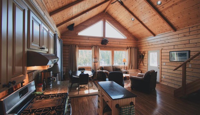 Denali Wild Stay - Bear Cabin with Hot Tub and Free Wifi, Private, sleep 6