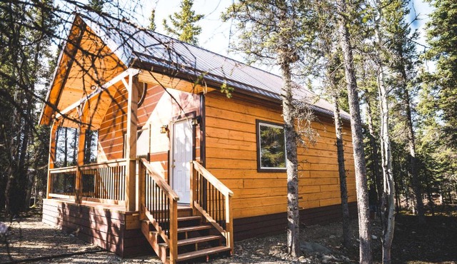 Denali Wild Stay - Redfox Cabin, Free Wifi, private, sleep 6