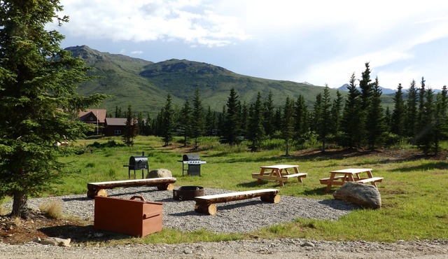 Denali Wildlife Caribou Cabin Luxury with a touch of Rustic.