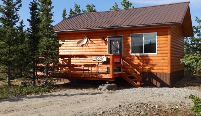 Denali Wildlife Moose Cabin Luxury with a touch of Rustic