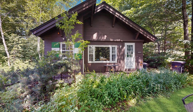 Dog-friendly & charming mountain chalet w/fireplace