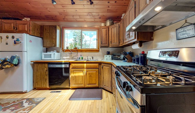 Dog-friendly lakefront cabin with loft, gas grill, lake views, wood stove, porch