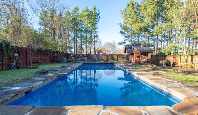 Dora`s Dutch Cottage, Charmer with Swimming Pool near Waterfall Hiking