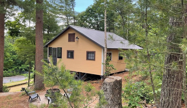 Dove Cabin up in the Trees
