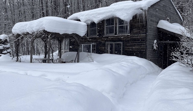 Dream Cabin in charming Hyde Park with WiFi access