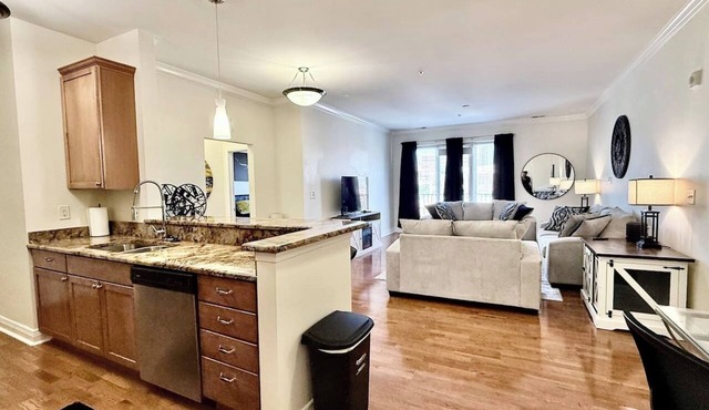Elaborate Downtown Suite for 6 with fireplace/view