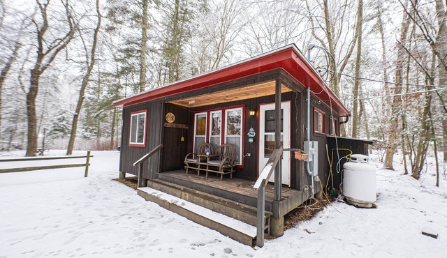 Ellis -Lakeside Cabin on Beach Pond with Wood Fired Finnish Sauna