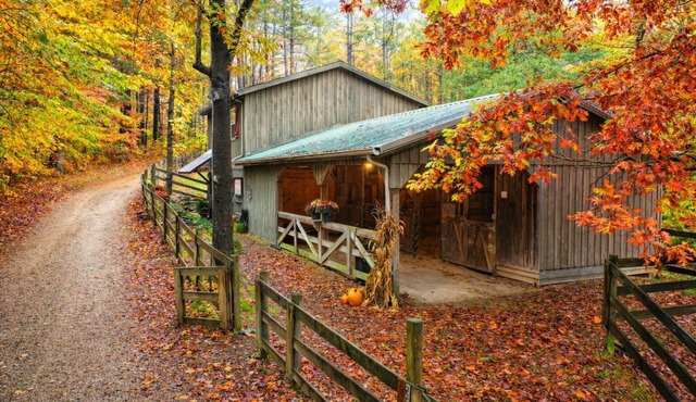 Elwood Loft & Barn: A budget-friendly cabin for 4: Hot tub + 3 horse stalls